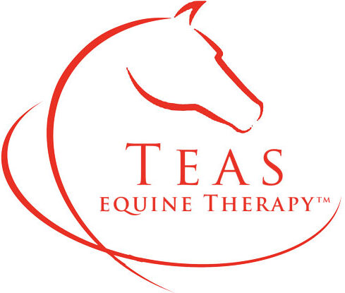 TEAS Equine Therapy